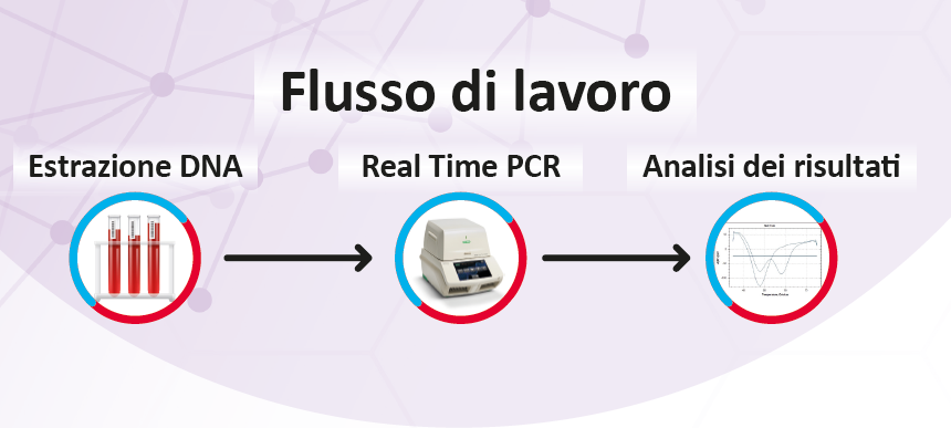 Fattori di Coagulazione e Rischio Cardiovascolare: Test Rapidi e Automatizzati con Real Time PCR