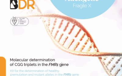 Sindrome X Fragile: il test molecolare FMR1 per una diagnosi precoce e accurata